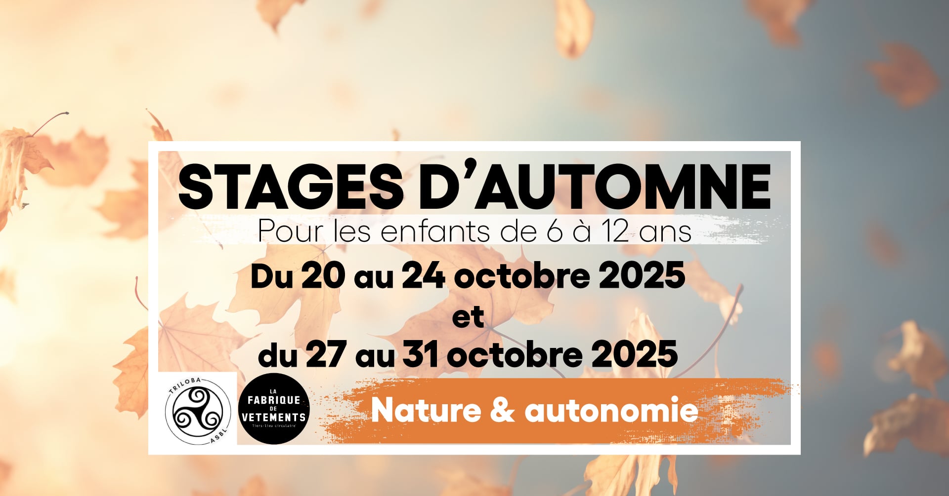 stages-d-automne