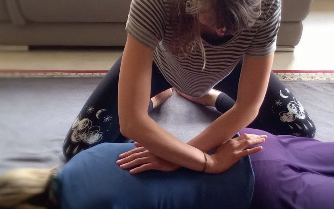 Nouveau ! SHIATSU FAMILIAL : LE BIEN-ÊTRE À EMPORTER CHEZ VOUS