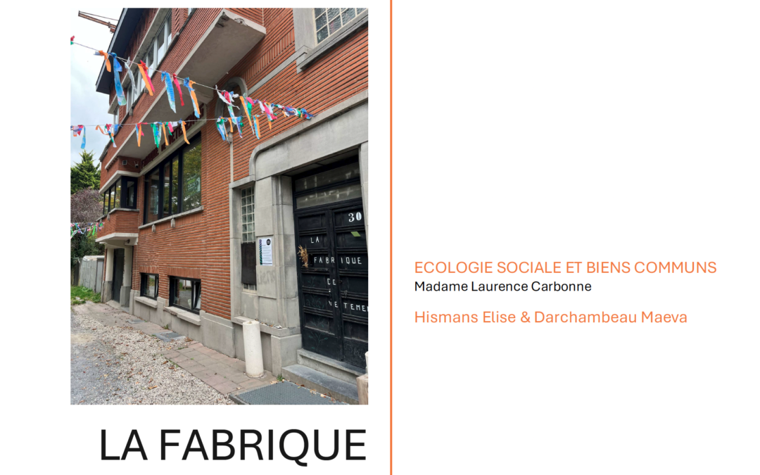 Ecologie sociale et biens communs