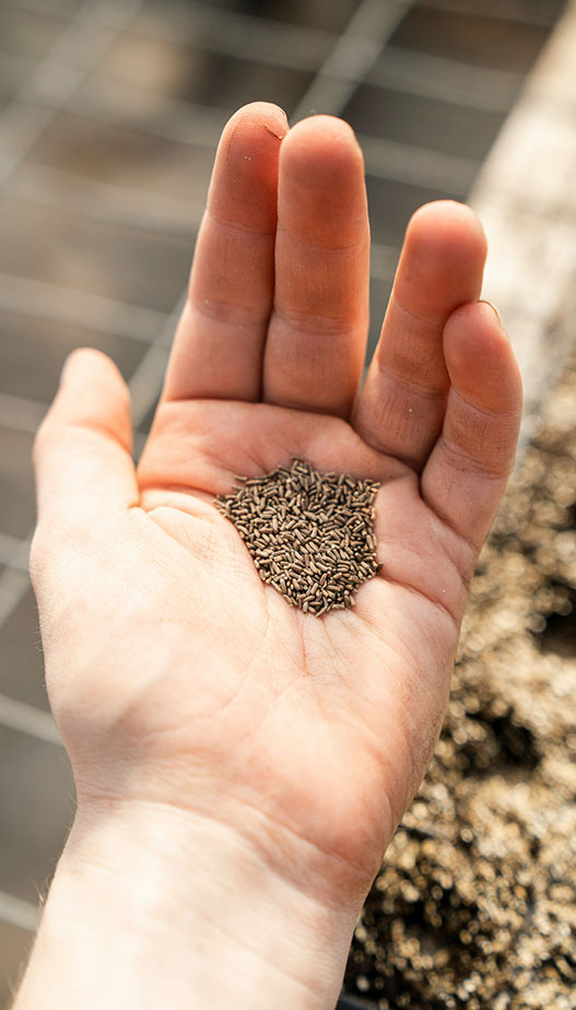bourse échange de graines