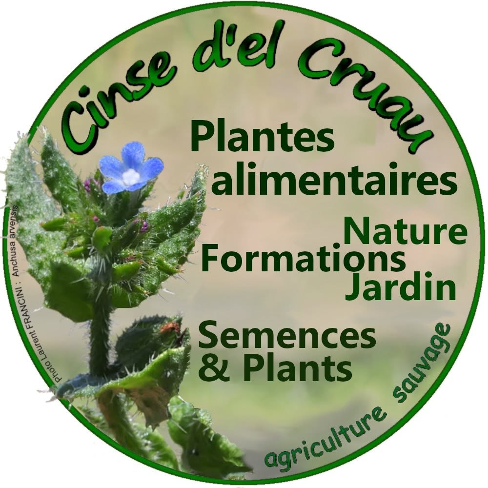Logo Cinse d'el Cruau